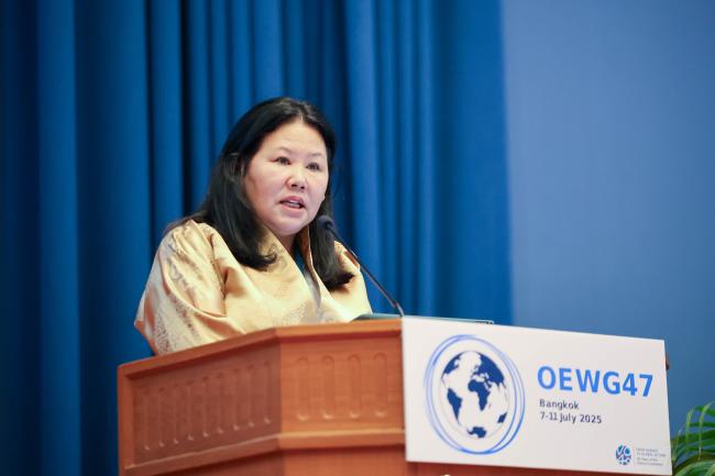 Dechen Tsering, UNEP Regional Office for Asia-Pacific