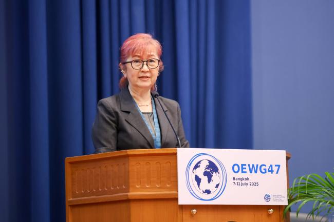 Ozone Secretariat Executive Secretary Megumi Seki