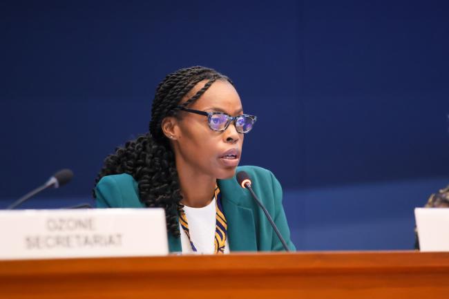 OEWG-47 Co-Chair Shontelle Wellington, Barbados