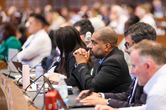 Delegates listen to TEAP's presentation. 