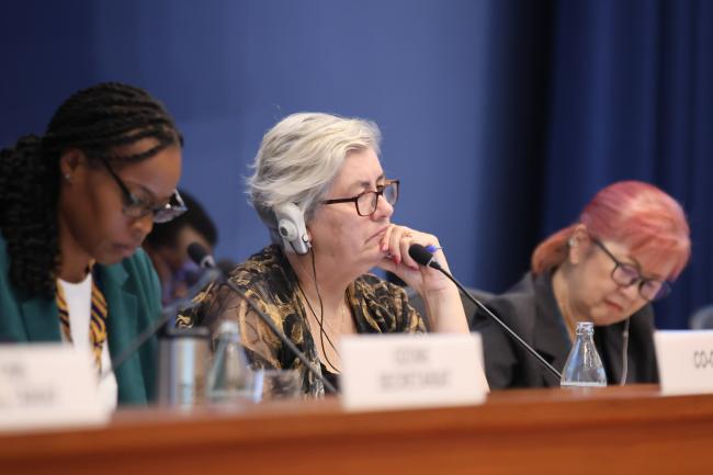OEWG-47 Co-Chair Annie Gabriel, Australia 
