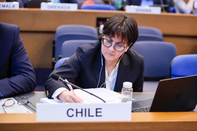 Claudia Paratori, Chile 