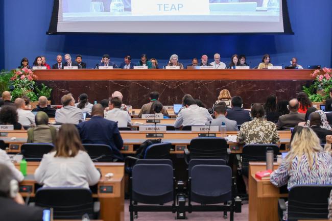 View of the dais during Technology and Economic Assessment Panel's (TEAP) presentation 