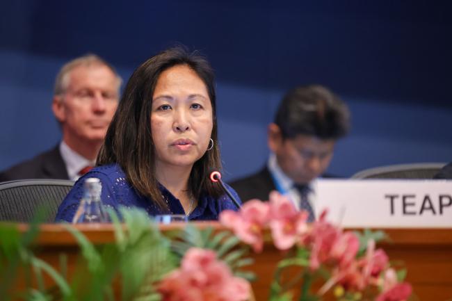 Bella Maranion, TEAP Co-Chair 