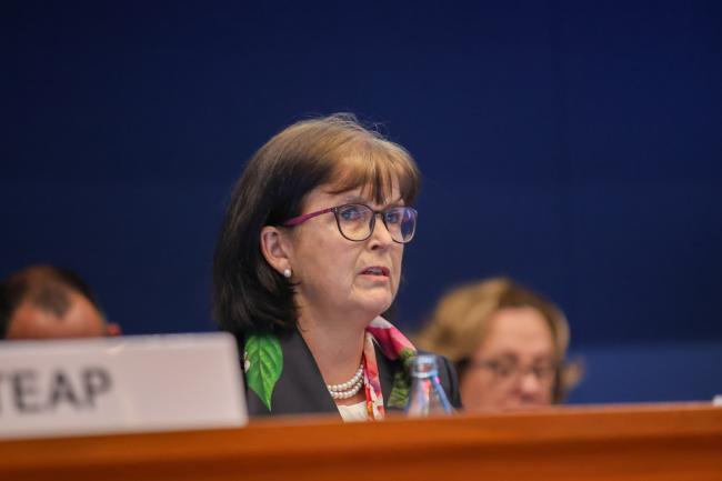Marta Pizano, TEAP Co-Chair 