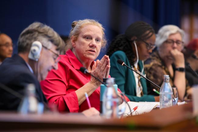 Helen Walter-Terrinoni, Technical Options Committee Co-Chair 