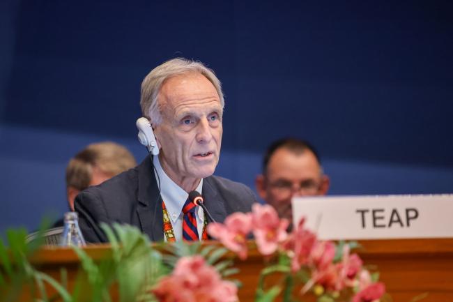 Ashley Woodcock, TEAP Co-Chair 
