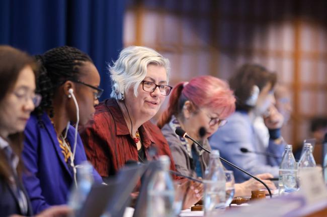 Annie Gabriel, Australia, OEWG 47 Co-Chair 