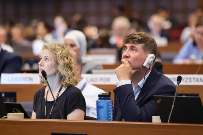 Delegates listen to the discussions. 