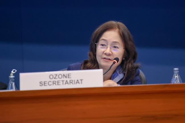Maria Socorro Manguiat, Deputy Executive Secretary, Ozone Secretariat
