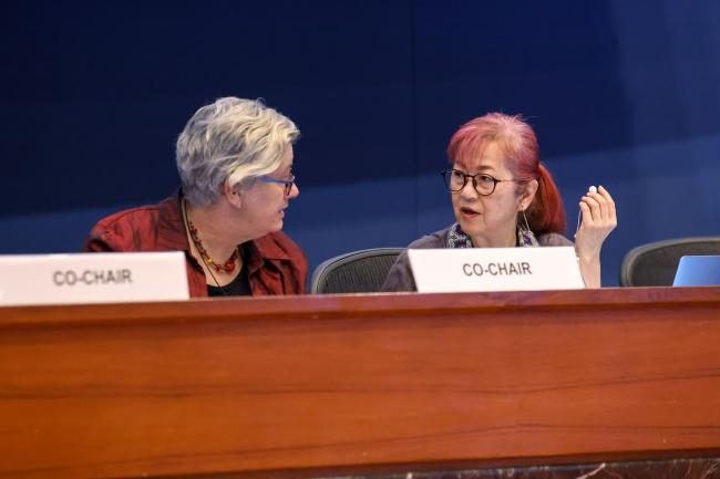 Annie Gabriel, Australia, OEWG 47 Co-Chair, consults with Megumi Seki, Executive Secretary, Ozone Secretariat  