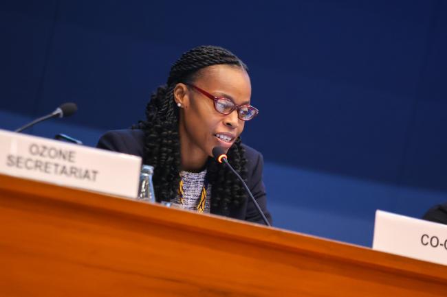 Shontelle Wellington, Barbados, OEWG 47 Co-Chair 