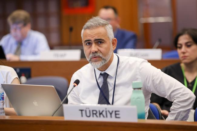 Volkan Polat, Türkiye 