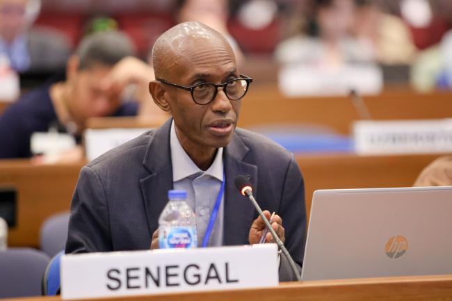 Ibrahima Amel Kane, Senegal 