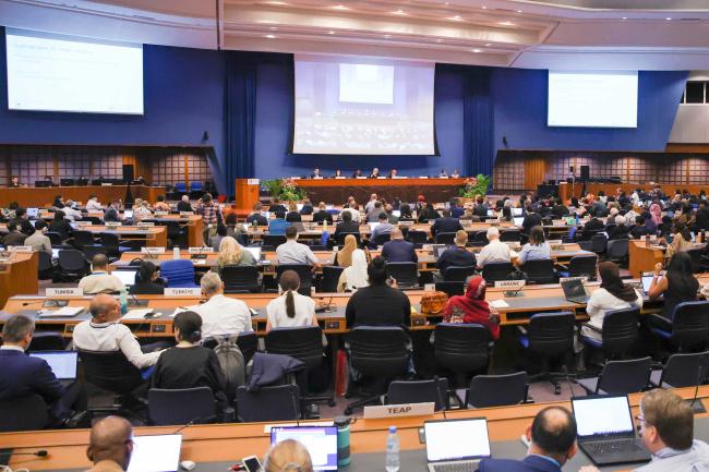 A view of the plenary room 