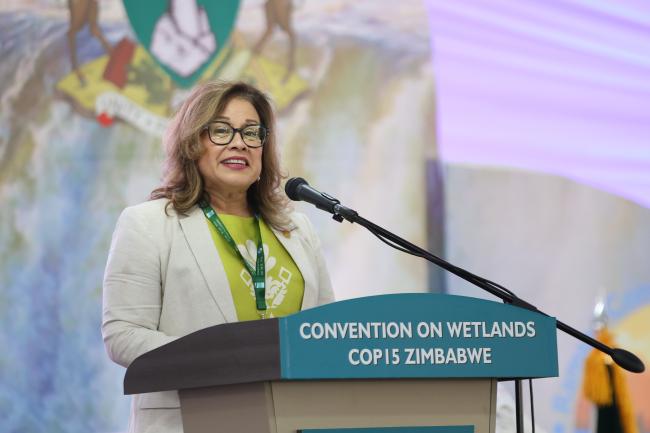   Ivonne Higuero, Secretary General, Convention on International Trade in Endangered Species of Wild Fauna and Flora (CITES)