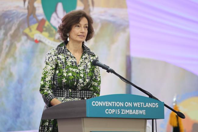  Audrey Azoulay, Director General, United Nations Educational, Scientific and Cultural Organization (UNESCO)