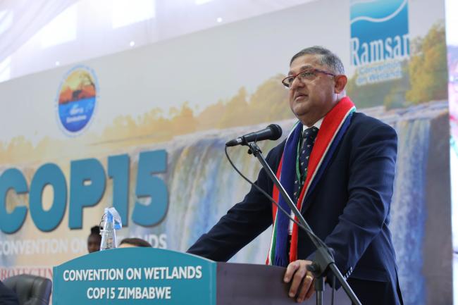 Narend Singh, Deputy Minister of Forestry, Fisheries and the Environment, South Africa 