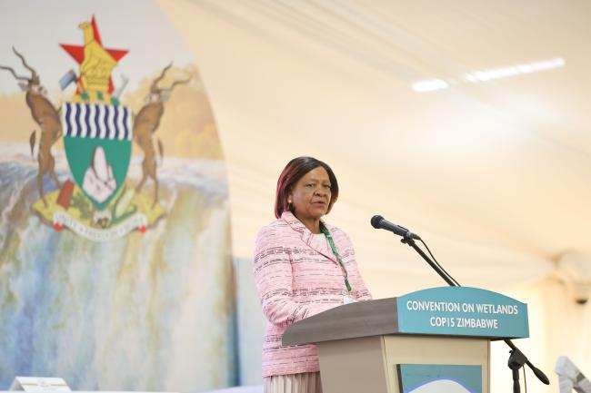 Evelyn Ndlovu, Minister of Environment, Water and Climate, Zimbabwe and upcoming COP15 President 