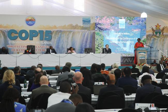 A view of the room during the statement of Musonda Mumba, Musonda Mumba, Secretary General, Convention on Wetlands 