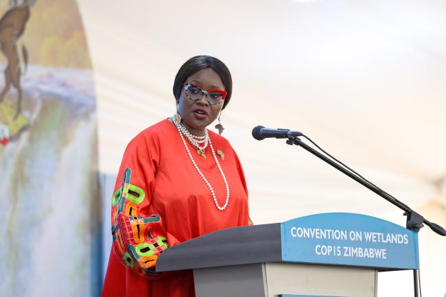Musonda Mumba, Secretary General, Convention on Wetlands