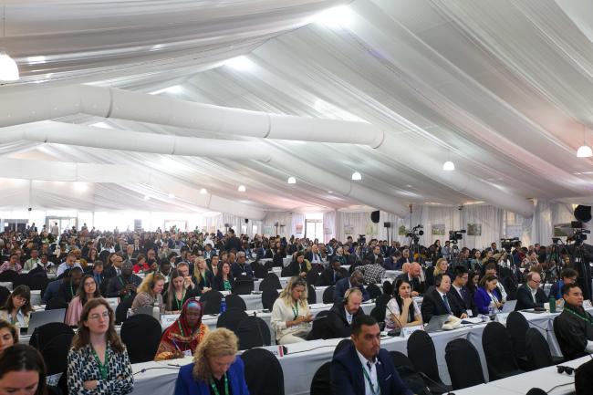 A view of the room