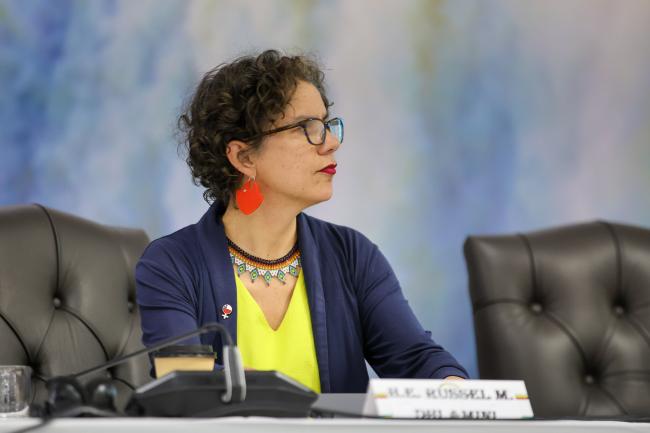 Maisa Rojas, Minister for the Environment, Chile 