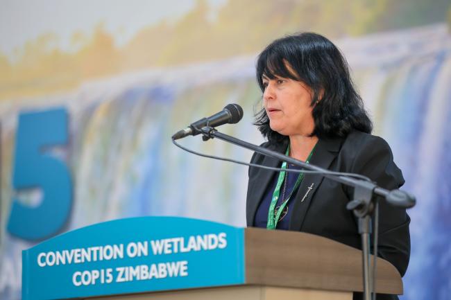 Adianez Tabaoda Zamora, Deputy Minister of Science, Technology and Environment, Cuba