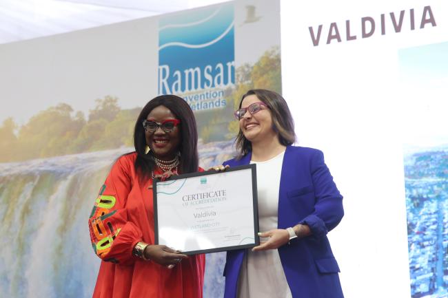 Wetland City Accreditation 