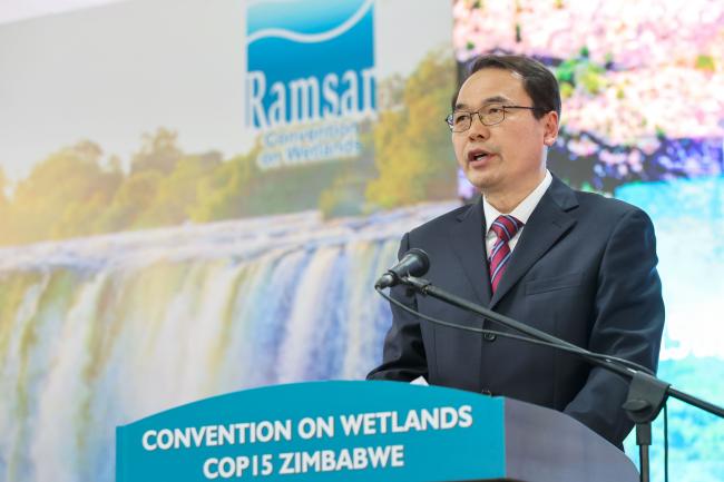 Yan Zheng, Deputy Director, National Forestry and Grassland Administration, China
