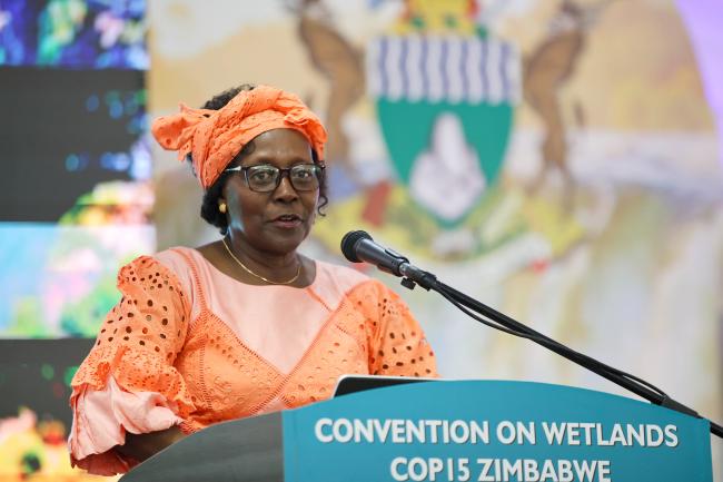 Elizabeth Maruma Mrema, Deputy Executive Director, UN Environment Programme