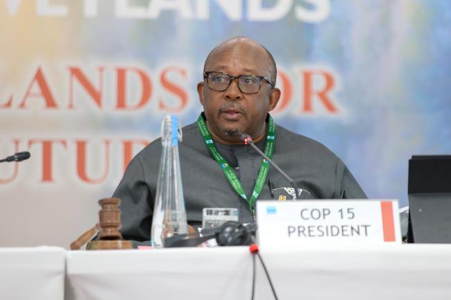 Tadeous Chifamba, Alternate COP15 President