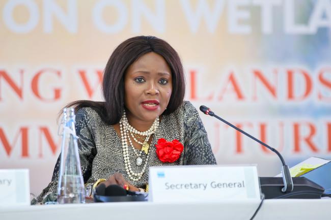 Musonda Mumba, Secretary General, Convention on Wetlands 