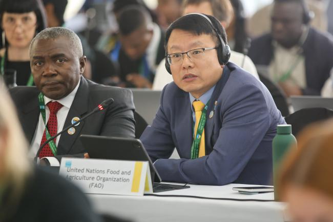 Lifeng Li, FAO 