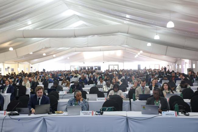 A view of the room 