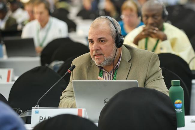 David Elias Farina Gomez, Paraguay