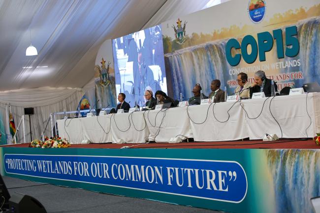 A view of the panel 