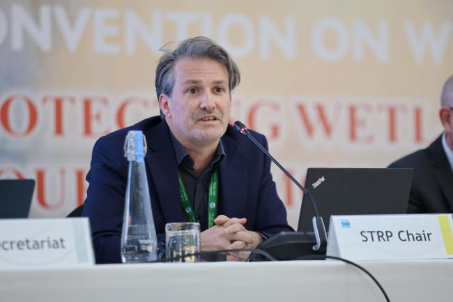 Hugh Robertson, Scientific and Technical Review Panel 