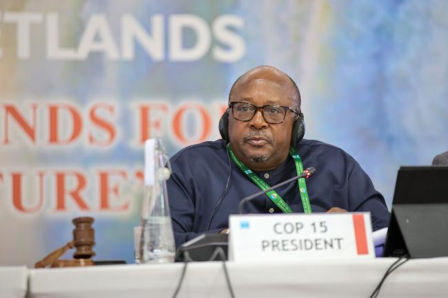 Tadeous Chifamba, Alternate COP15 President 