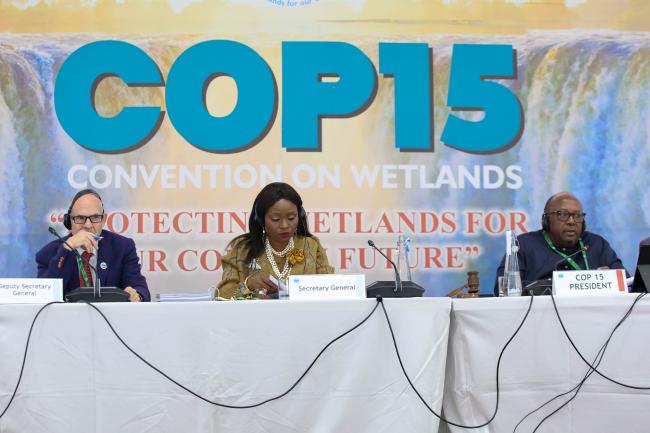Jay Aldous, Deputy Secretary General, Convention on Wetlands, Musonda Mumba, Secretary General, Convention on Wetlands, and Tadeous Chifamba, Alternate COP15 President - Wetlands Convention 