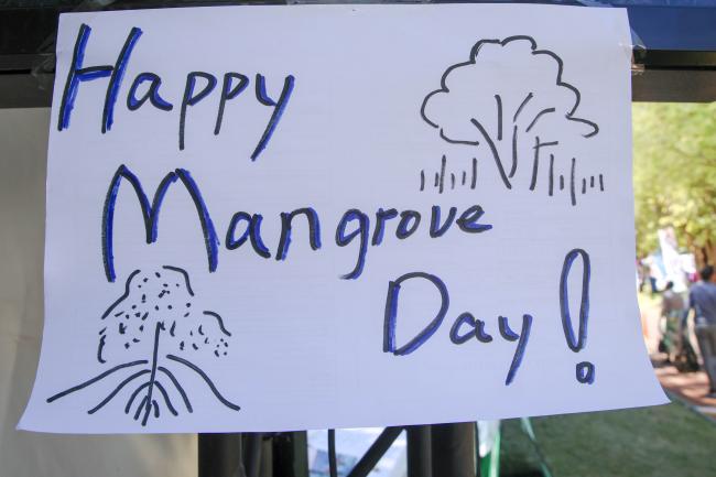 Happy Mangrove Day 