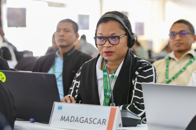 Madagascar 