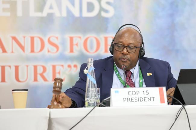 Tadeous Chifamba, COP15 Alternate President, Zimbabwe