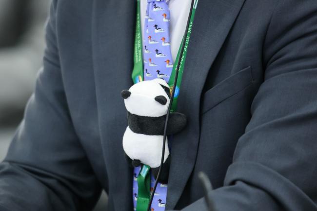 A tiny panda climbing on a delegate's tie 
