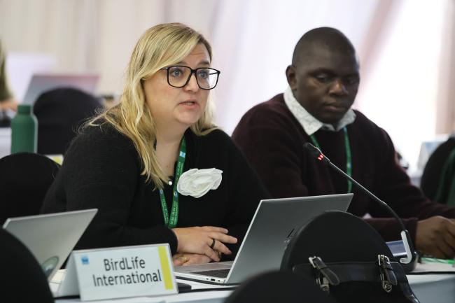 Nina Mikander, BirdLife International 