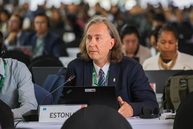 Hanno Zingel, Estonia 