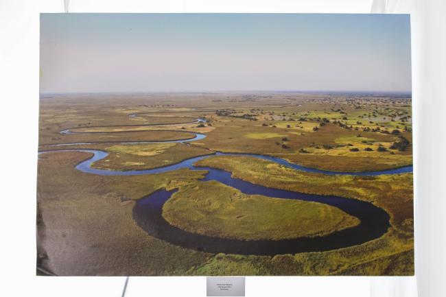 Wetlands picture