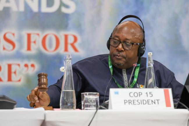 Tadeous Chifamba, COP15 Alternate President, Zimbabwe 