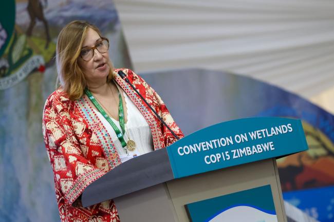 Nathalie Alquier, Danone 