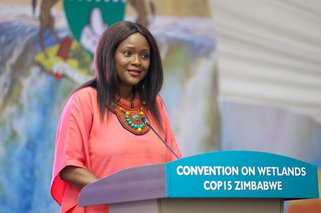 Musonda Mumba, Secretary General, Convention on Wetlands 